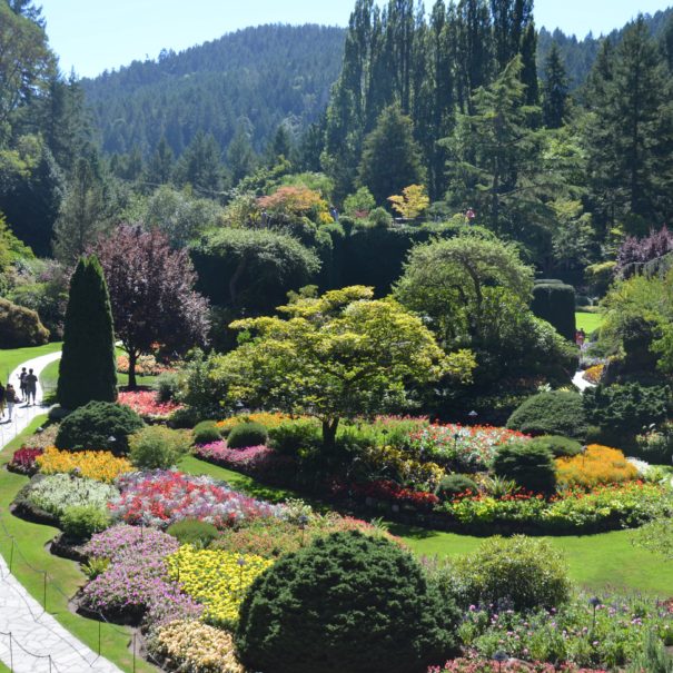 Butchart Gardens