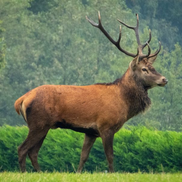 Elk Island National Park - Educational Programs